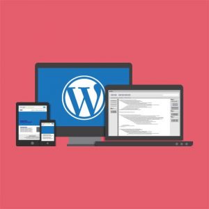 Best Wordpress Development UAE, Dubai, Sharjah, Abu Dhabi